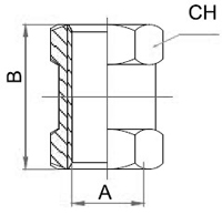 Female Straight Threaded Fittings, Brass Pipe Fittings, Brass Hose Fittings, Brass Air Connector, Brass BSP Fittings